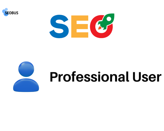 SEOBUS Tool Professional User